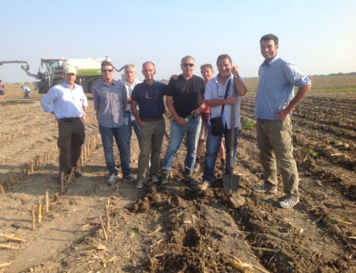 IN CAMPO con CLAAS XERION 3800 SADDLE + botte SGT  e XTILL  VOGHELSANG