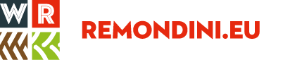 Remondini Logo